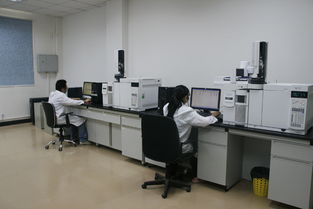華科檢測技術(shù)服務(wù)積極捐資支持新中學(xué)建設(shè)，助力信息技術(shù)咨詢服務(wù)發(fā)展