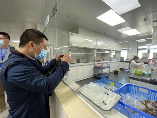 信息技術咨詢服務為‘六穩六?！峁娭?，中國—東盟檢驗檢測認證高技術服務集聚區賦能企業騰飛
